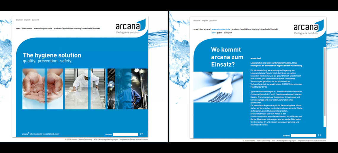 Das Bild zeigt eine Website im Corporate Design des Kunden.