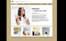 Das Bild zeigt eine Website im Corporate Design des Kunden.